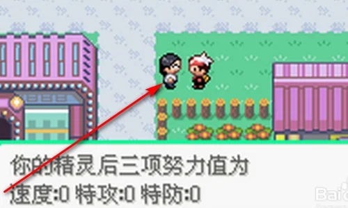 口袋妖怪xy