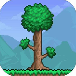 5playru泰拉瑞亚1.4.4.9中文版