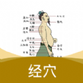 经络穴位指南手机版
