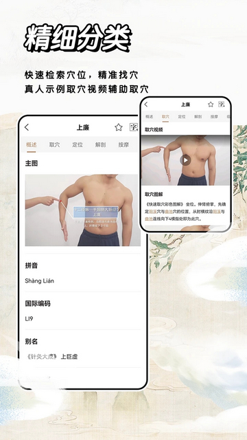 经络穴位指南手机版截图1