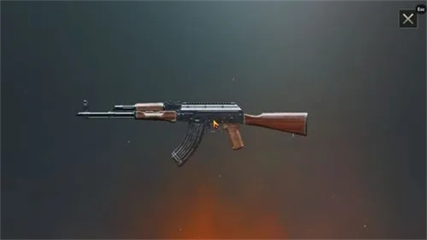 NEW STATE MOBILE截图2