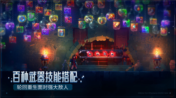 重生细胞完整版免费截图3