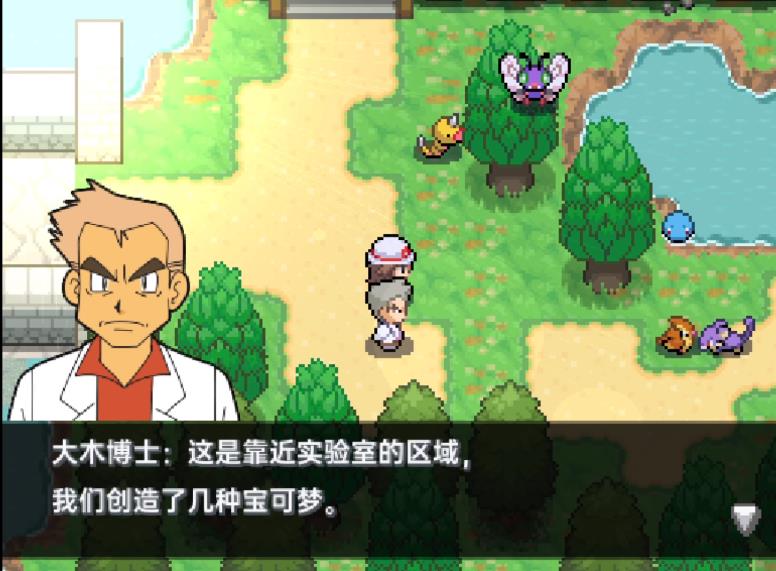 口袋妖怪堕落汉化版