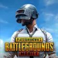 pubg十字架文件包