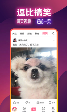 扯淡联盟截图1