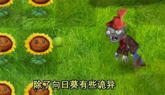 植物大战僵尸现实画风版
