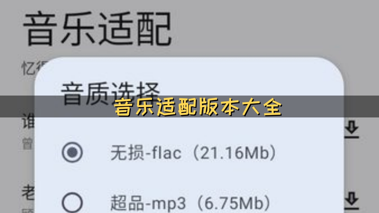 音乐适配