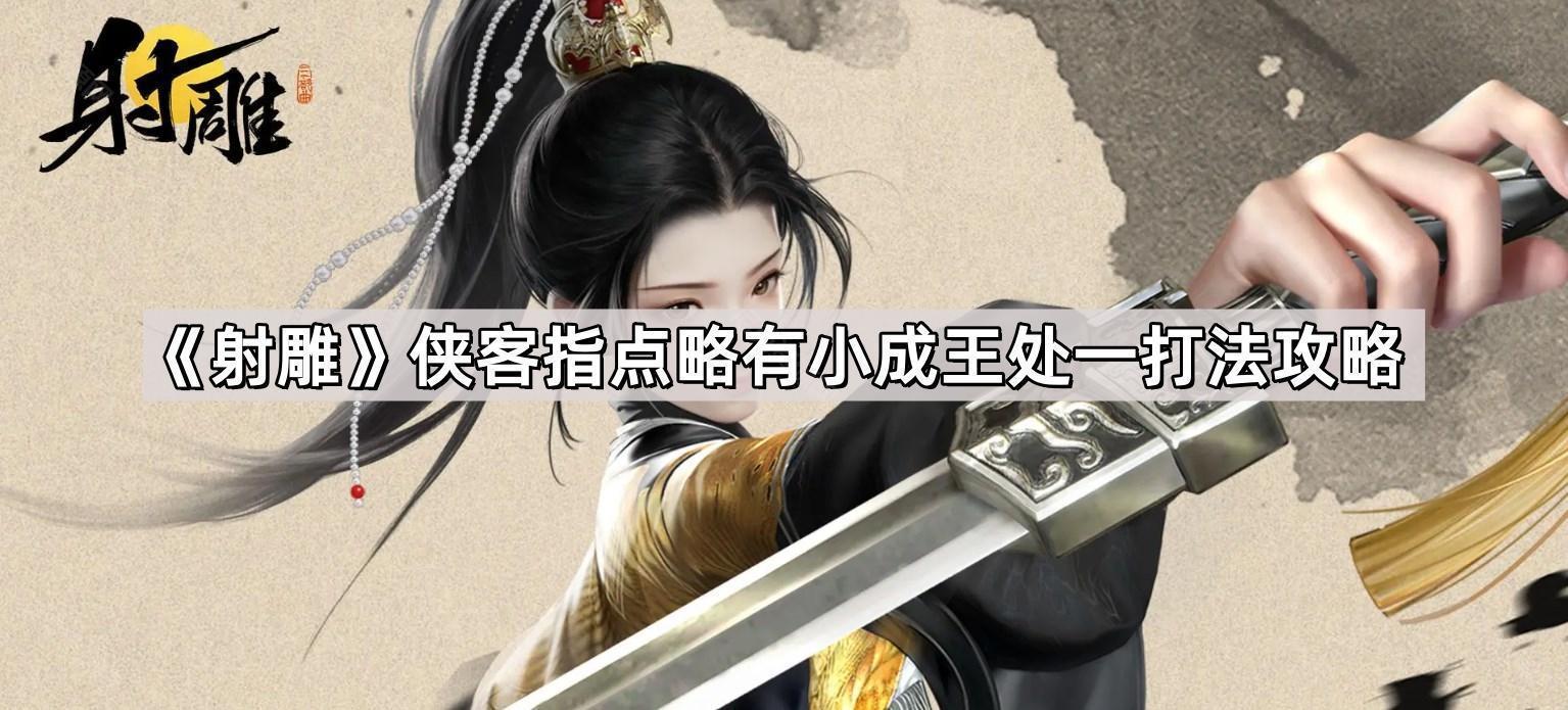 射雕侠客指点略有小成王处一怎么打-侠客指点略有小成王处一打法攻略 - 尼克资源网