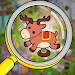 Find It Out Hidden Objects