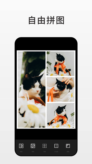 Fotor图片编辑器截图3