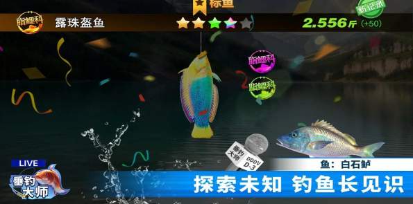 垂钓大师手机版