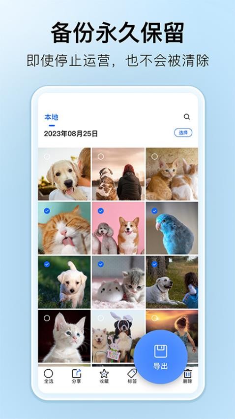 深林集影
