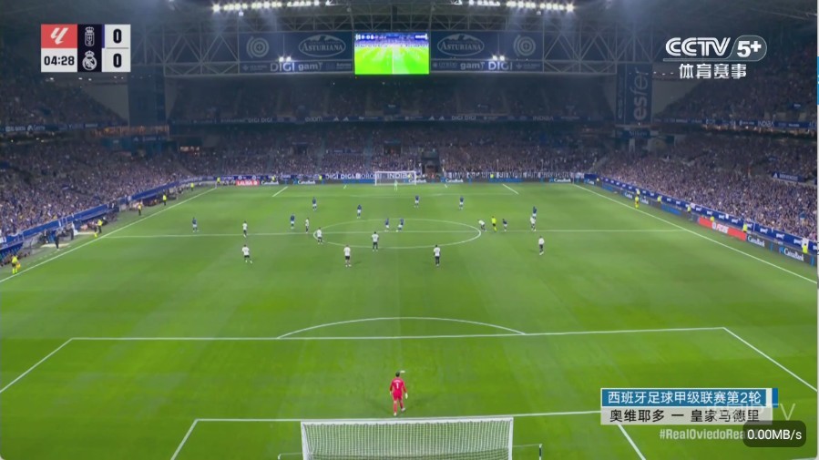 彩虹飞鸟稳定版