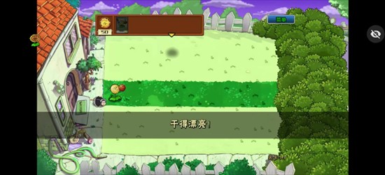 ikun大战黑子版植物大战僵尸下载