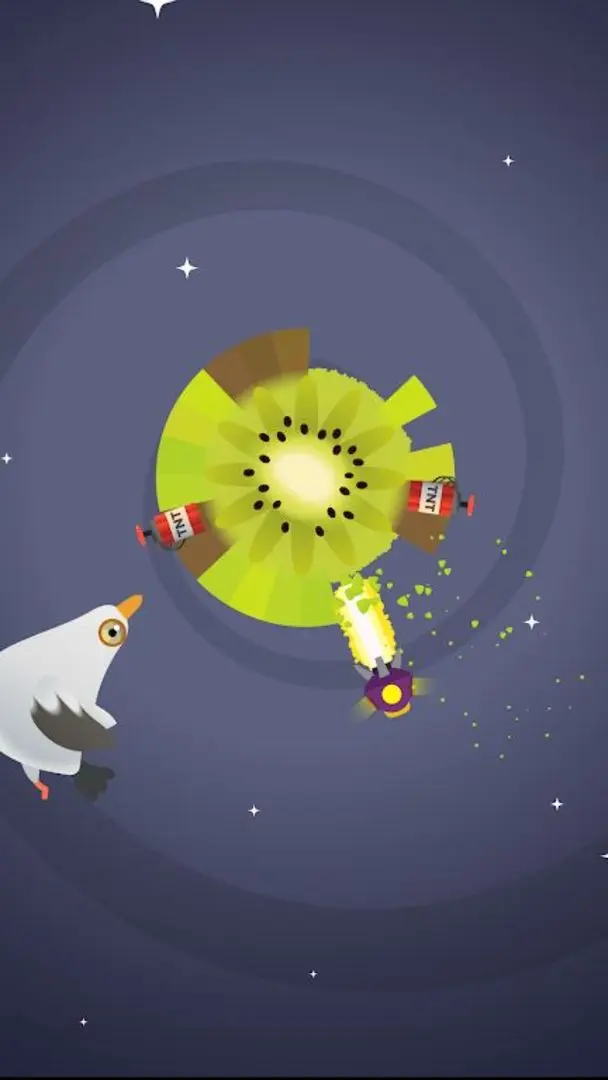 疯狂的鸽子pigeonpop