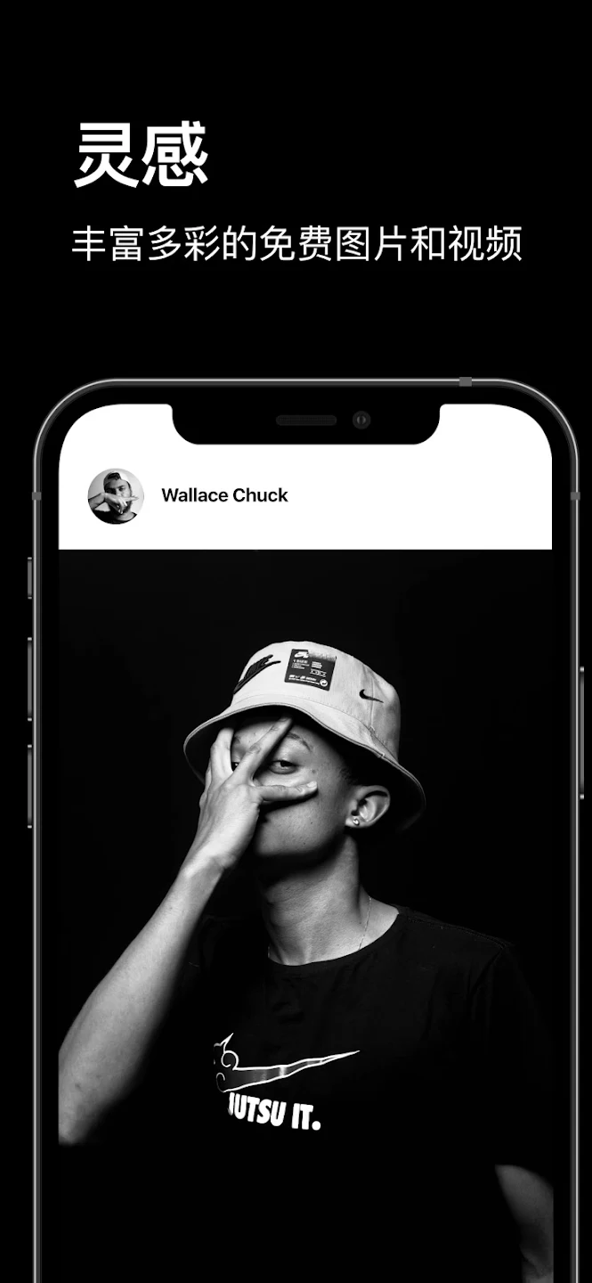 pexels手机版截图2