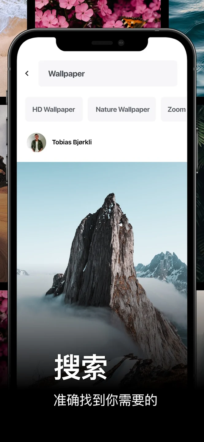 pexels手机版截图3