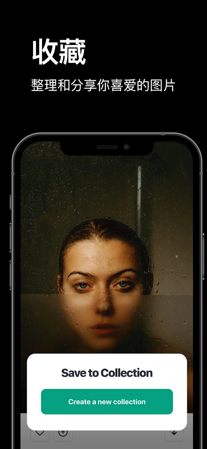 pexels手机版截图4