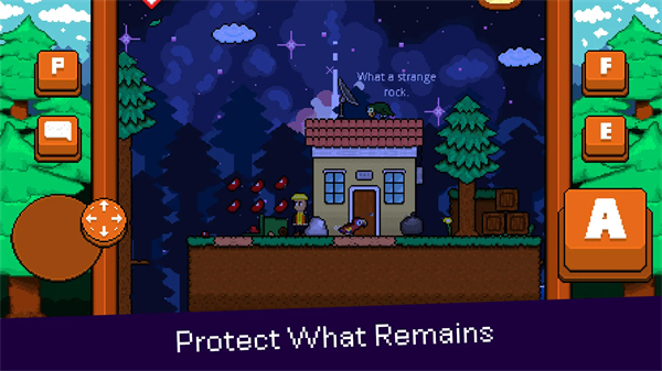 最后的金刚鹦鹉截图5