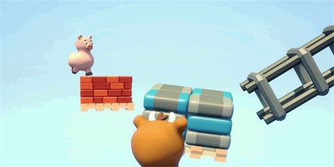 攀爬动物在一起