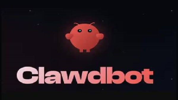 OpenClaw手机版截图2