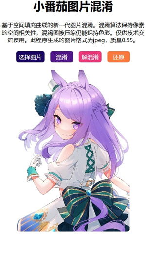 小番茄解图片混淆工具手机版截图1