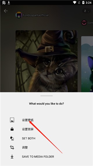 zedge壁纸官方版