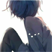 六花装载机11.0最新版