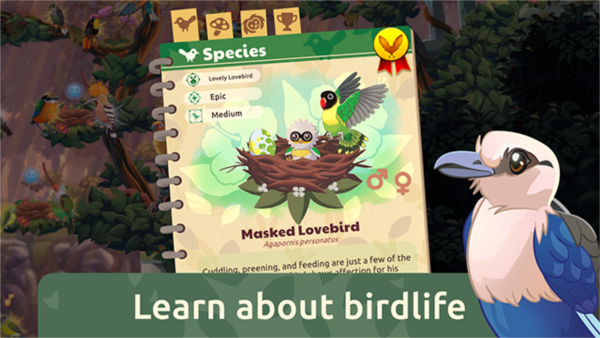 Bird Kind