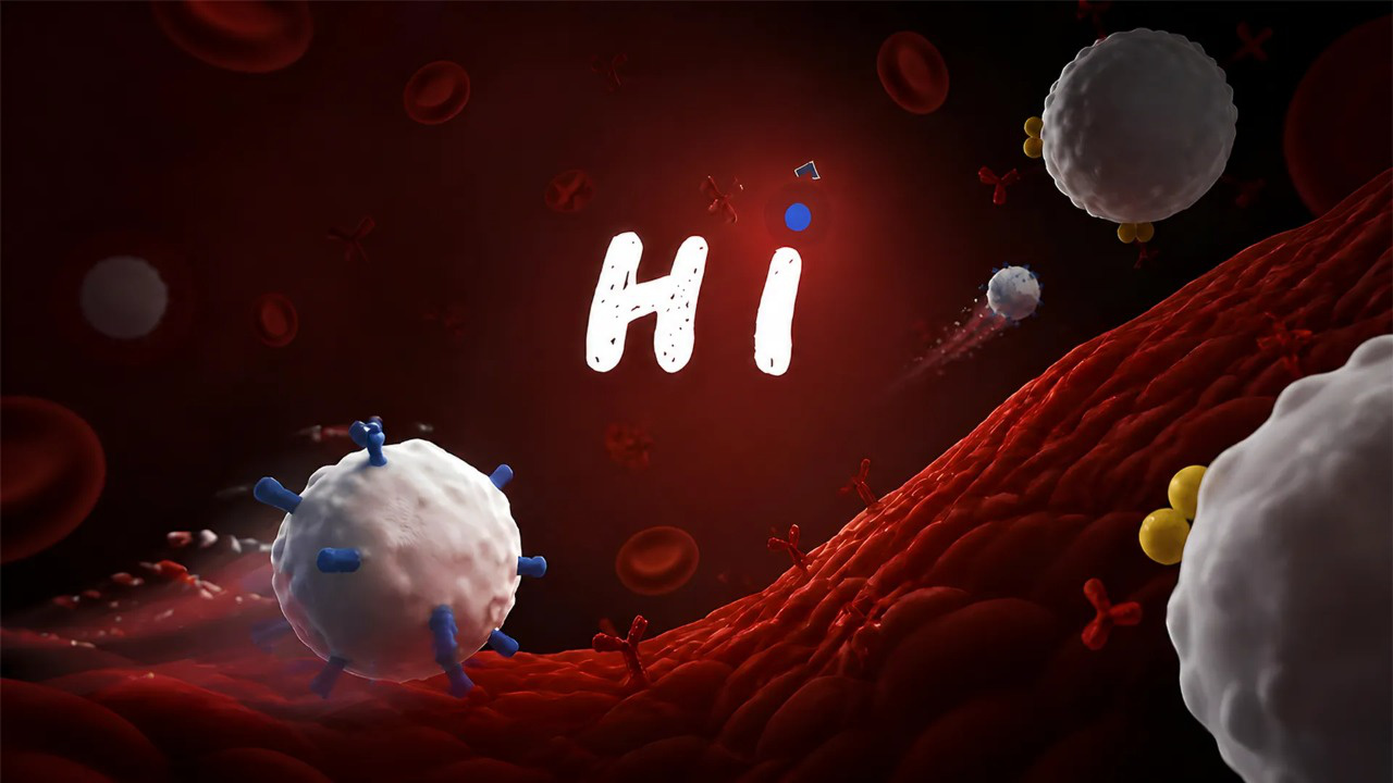 Hi