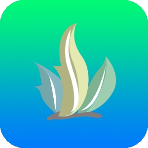 海草助手电视版