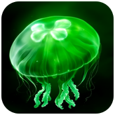 eggjelly最新版