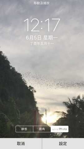 intolive安卓版最新版本
