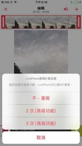 intolive安卓版最新版本