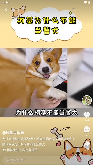 噗叽短视频