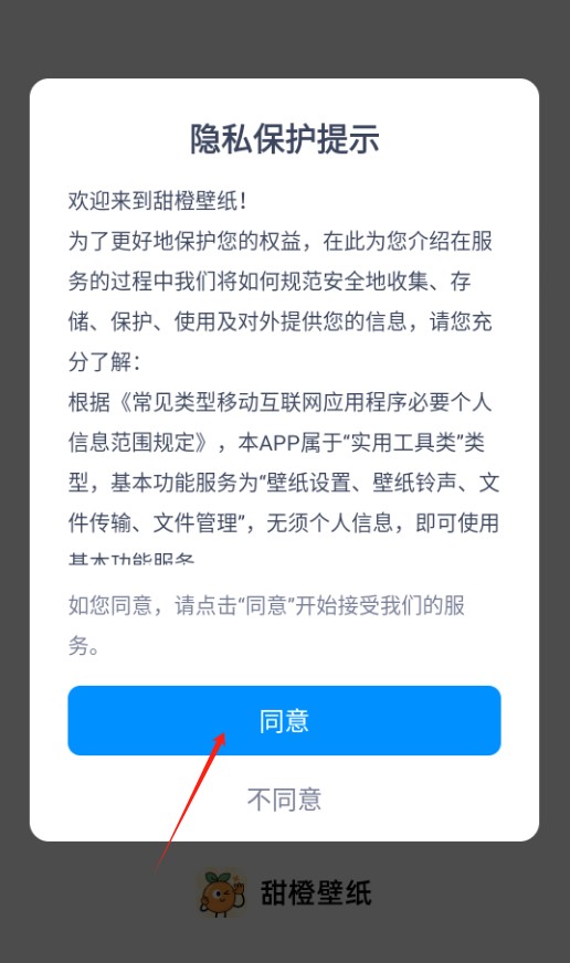 甜橙壁纸