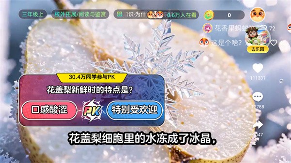 学小伴