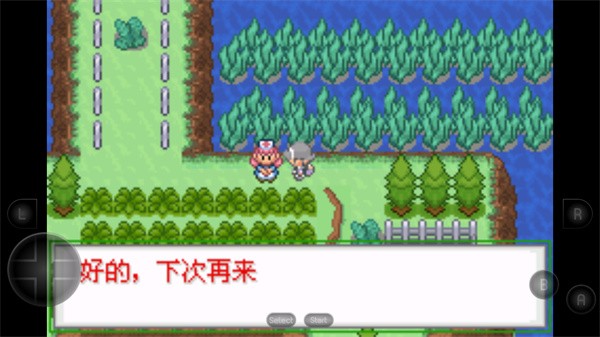 口袋妖怪生与死截图3