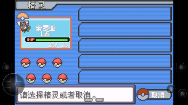 口袋妖怪生与死