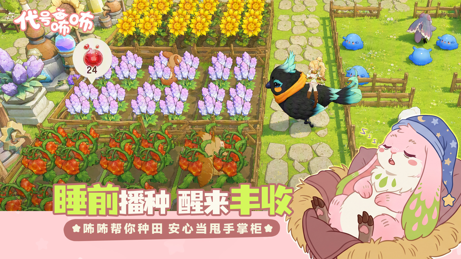 代号咘咘