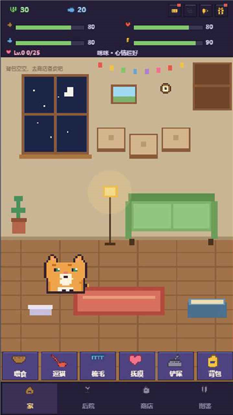 爱旅行的猫