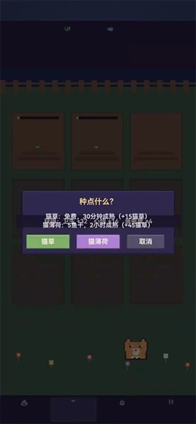 爱旅行的猫