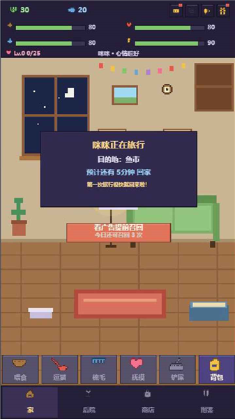 爱旅行的猫