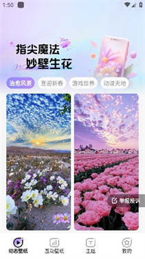 魔法妙妙壁纸