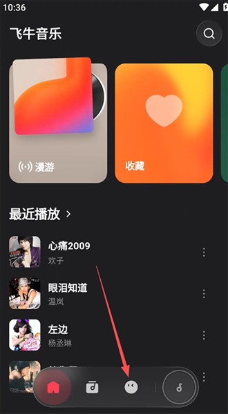 飞牛音乐独立APP