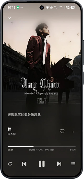 飞牛音乐安卓版