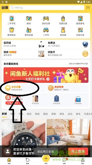咸鱼网
