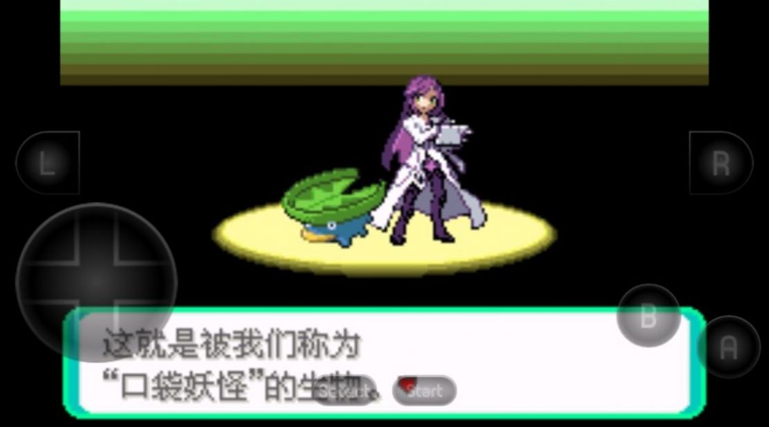 口袋妖怪黑琥珀经典版截图1