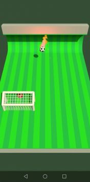 Footshot