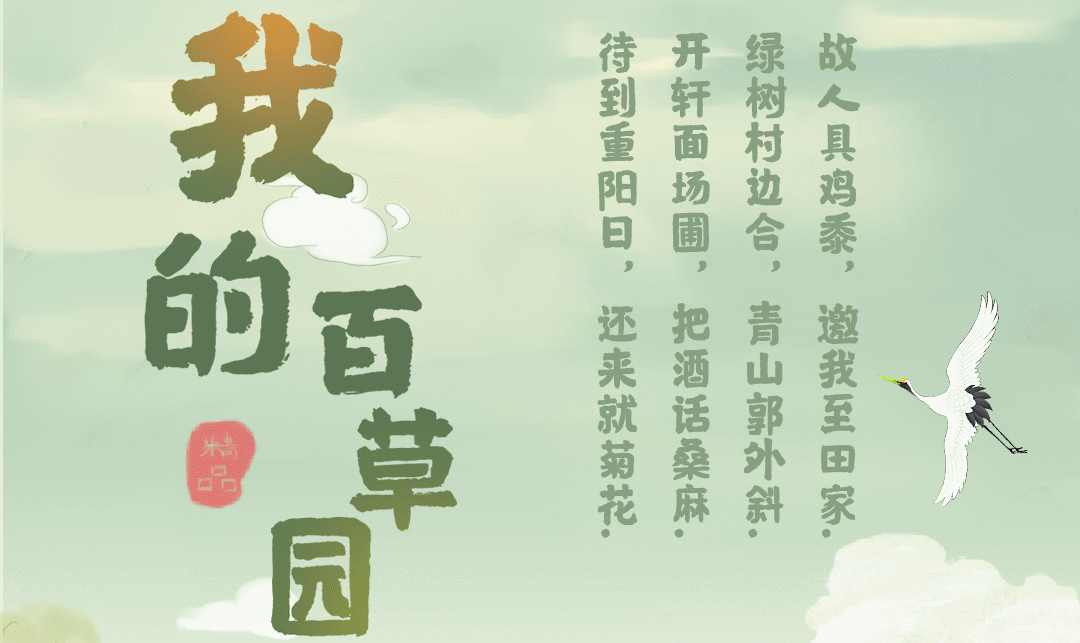 我的百草园